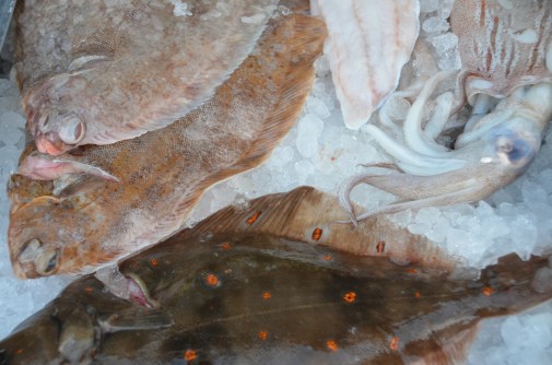 Squid plaice lemon feb 27th