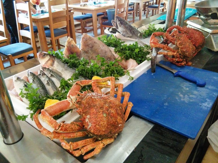 13654378_10157230239940254_198131474281918228_n