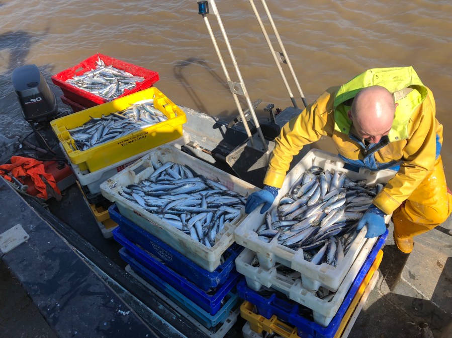 9tqy2udrTFKKrGSJ48ESzQ