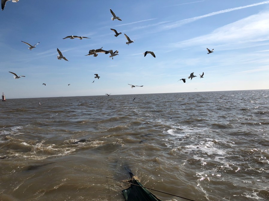 JiP78Fk%QZeDapn6lIOVjw