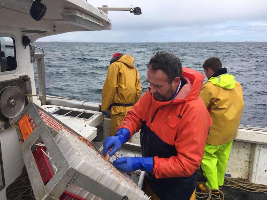 3263d5df-92e6-48a5-b13b-57a641ea9874