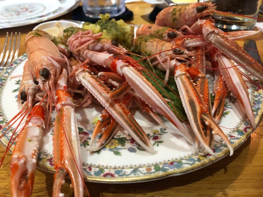 lVVdnF6RTryI4Gg7teG6yQ