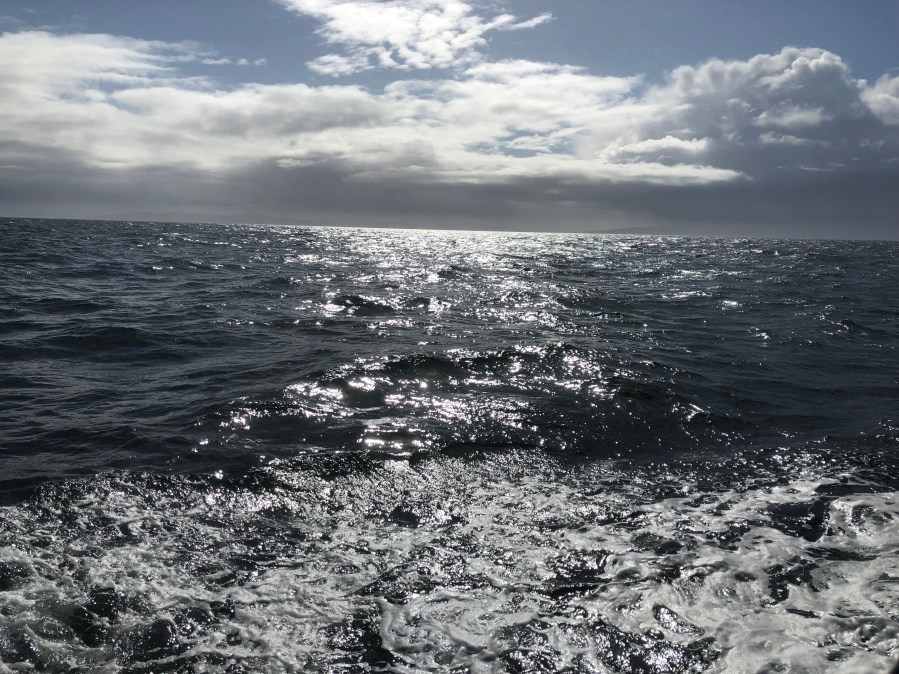 QvH65QipTkudmm7UYYnzYg