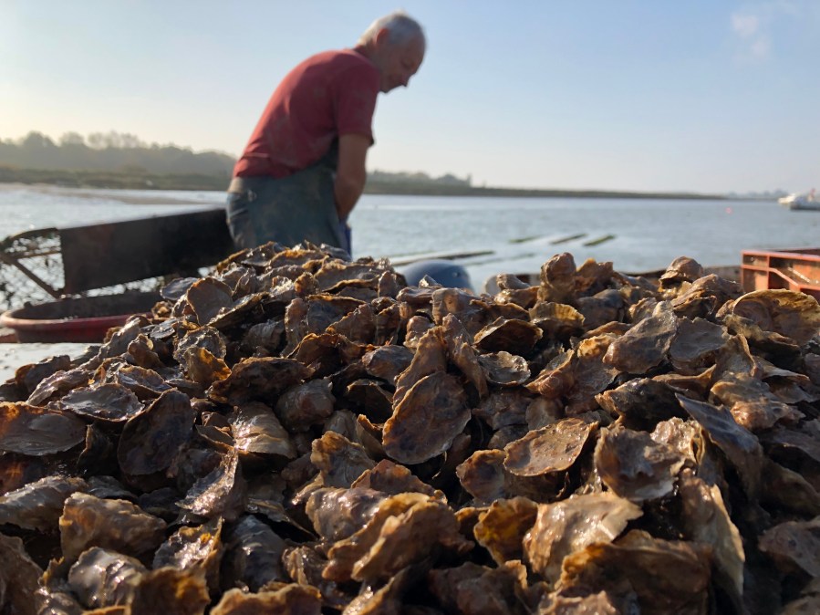 og3+otjjshovzceidq7qna